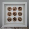 New Zealand Bird Art Linocut on Tea Bag