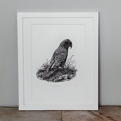 New Zealand Kea Artwork Margaret White Art Watchful Eye